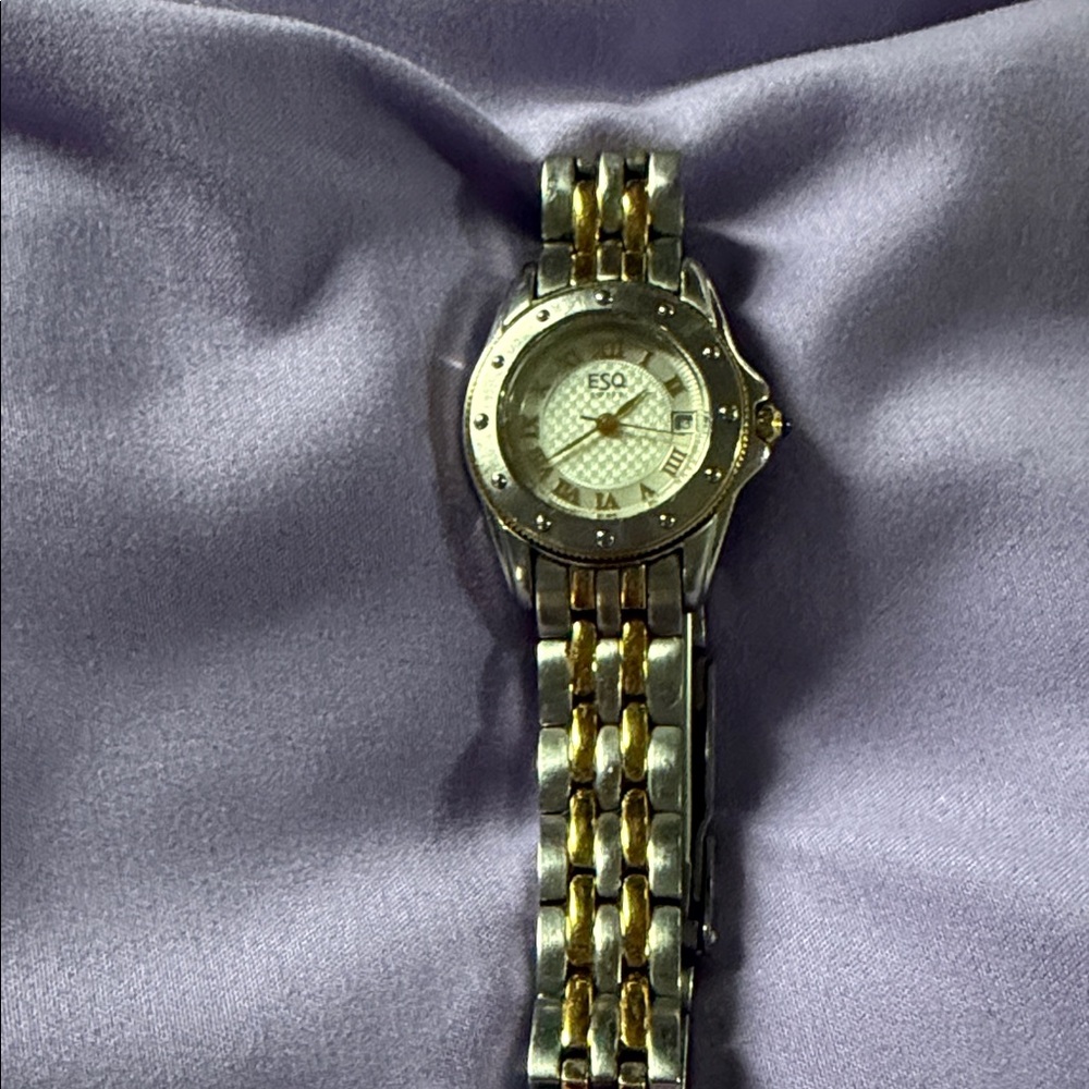 ESQ Gold and Silver Watch